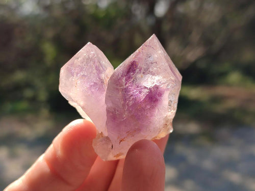 Natural Amethyt Crystals x 12 From Ashburton, South Africa - Toprock Gemstones and Minerals 