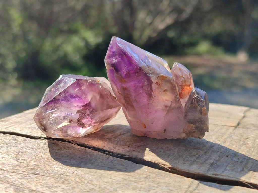 Natural Amethyt Crystals x 12 From Ashburton, South Africa - Toprock Gemstones and Minerals 