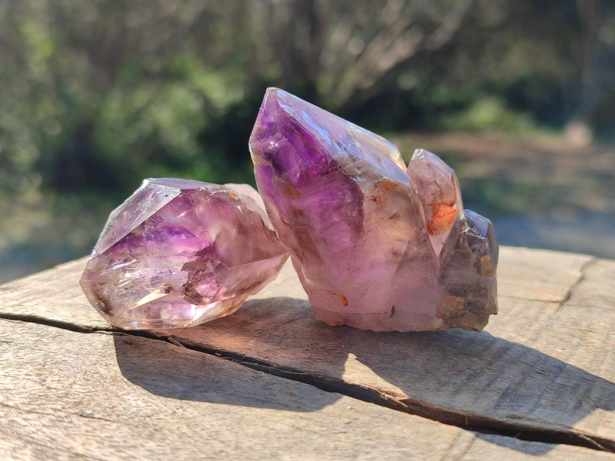 Natural Amethyt Crystals x 12 From Ashburton, South Africa - Toprock Gemstones and Minerals 