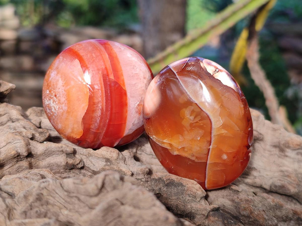 Polished Carnelian Agate Gemstone Palm Stones x 24 From Madagascar - Toprock Gemstones and Minerals 