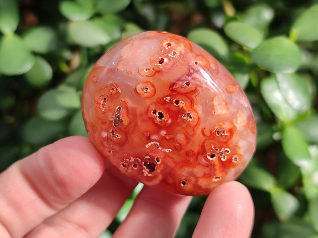 Polished Carnelian Agate Gemstone Palm Stones x 24 From Madagascar - Toprock Gemstones and Minerals 