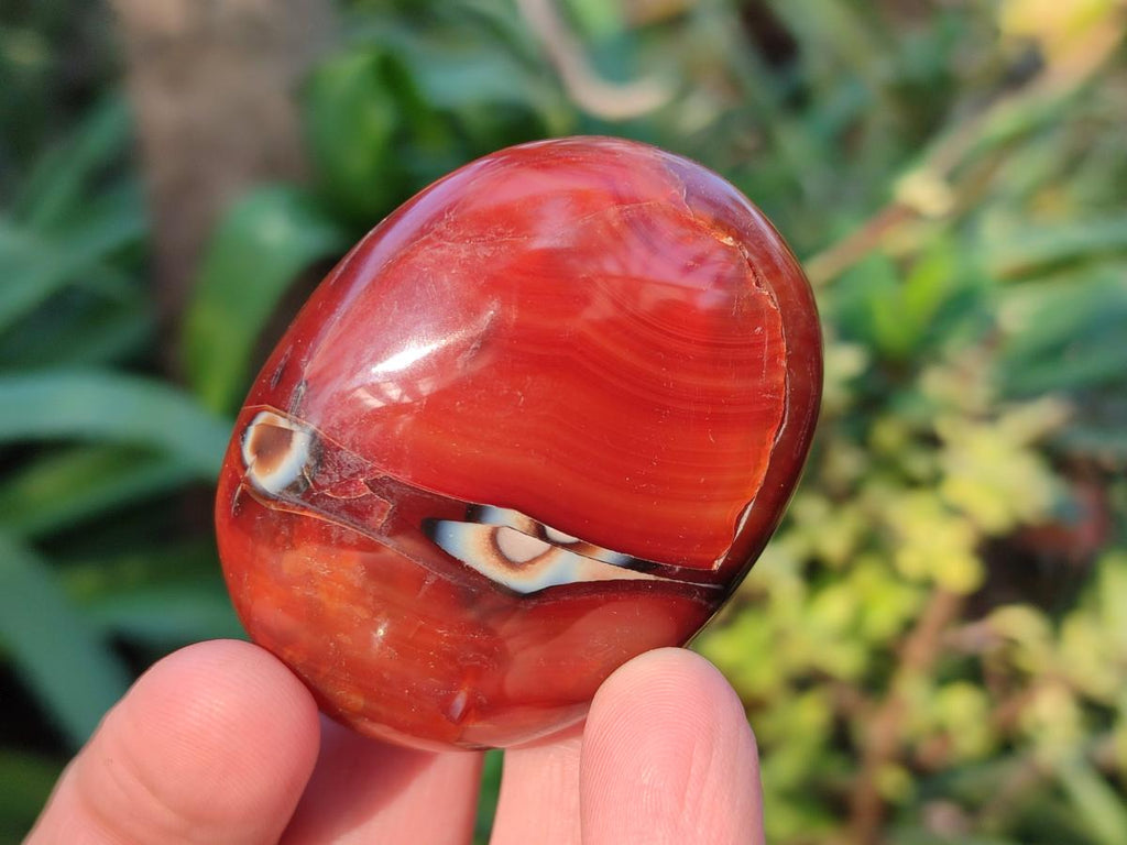 Polished Carnelian Agate Gemstone Palm Stones x 24 From Madagascar - Toprock Gemstones and Minerals 