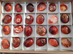 Polished Carnelian Agate Gemstone Palm Stones x 24 From Madagascar - Toprock Gemstones and Minerals 