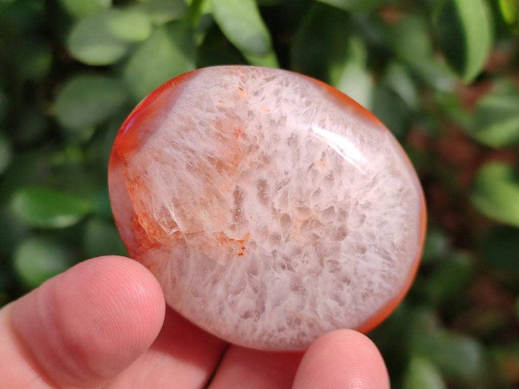 Polished Carnelian Agate Gemstone Palm Stones x 24 From Madagascar - Toprock Gemstones and Minerals 