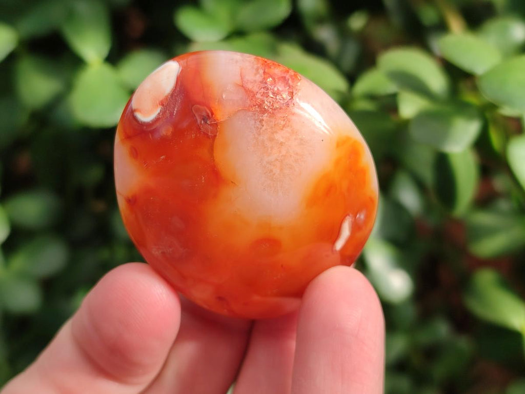 Polished Carnelian Agate Gemstone Palm Stones x 24 From Madagascar - Toprock Gemstones and Minerals 