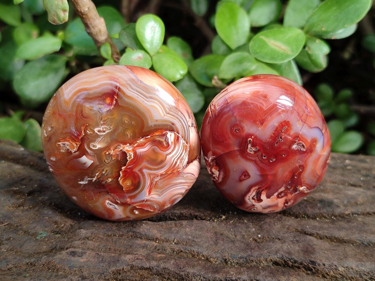 Polished Carnelian Agate Gemstone Palm Stones x 24 From Madagascar - Toprock Gemstones and Minerals 