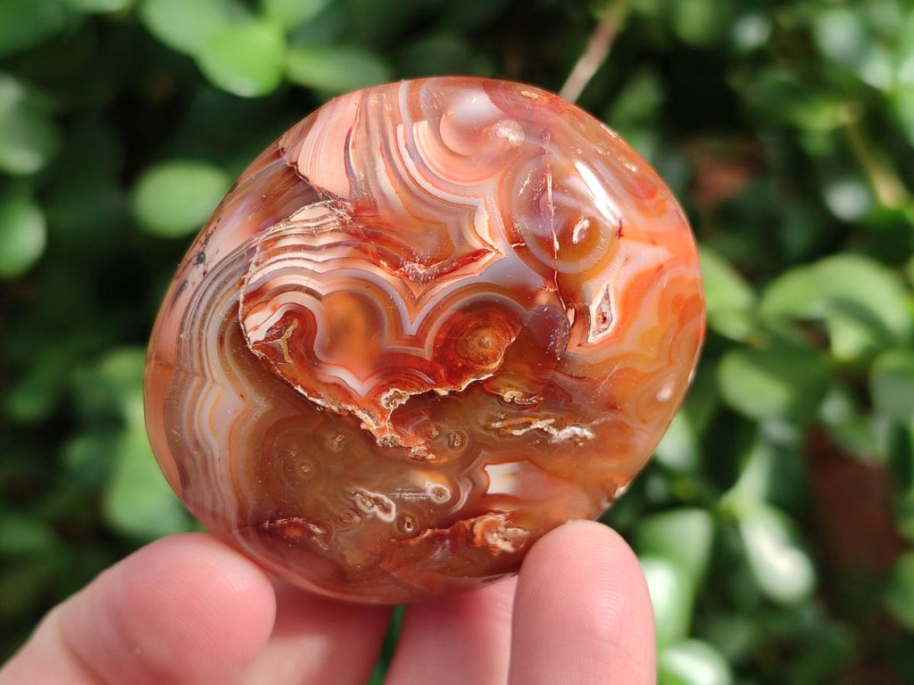 Polished Carnelian Agate Gemstone Palm Stones x 24 From Madagascar - Toprock Gemstones and Minerals 