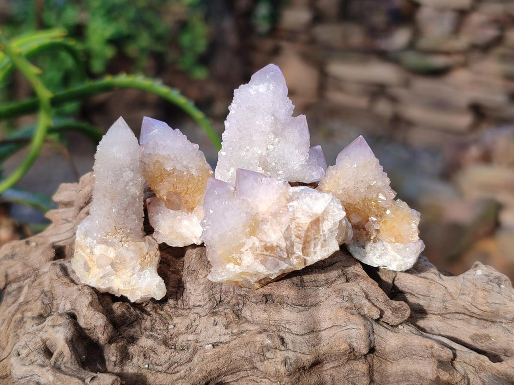 Natural Small Spirit Quartz Crystals x 70 From Boekenhouthoek, South Africa - Toprock Gemstones and Minerals 
