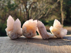 Natural Small Spirit Quartz Crystals x 70 From Boekenhouthoek, South Africa - Toprock Gemstones and Minerals 