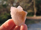 Natural Small Spirit Quartz Crystals x 70 From Boekenhouthoek, South Africa - Toprock Gemstones and Minerals 