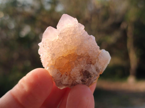 Natural Small Spirit Quartz Crystals x 70 From Boekenhouthoek, South Africa - Toprock Gemstones and Minerals 