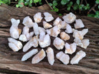 Natural Small Spirit Quartz Crystals x 70 From Boekenhouthoek, South Africa - Toprock Gemstones and Minerals 