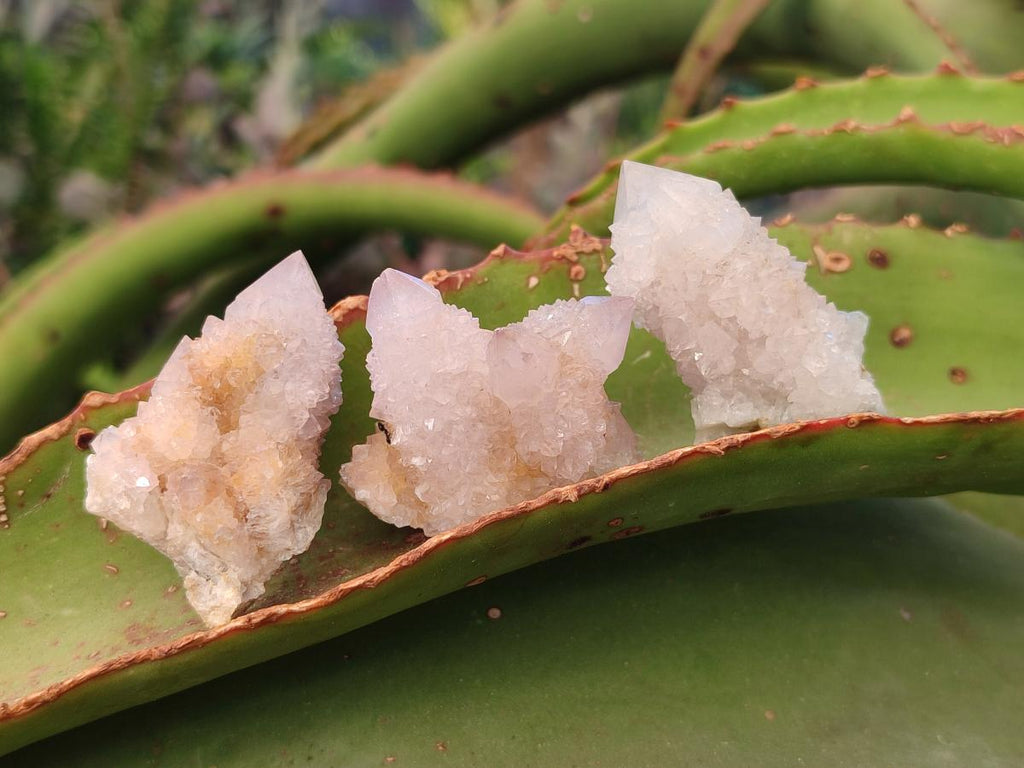 Natural Small Spirit Quartz Crystals x 70 From Boekenhouthoek, South Africa - Toprock Gemstones and Minerals 