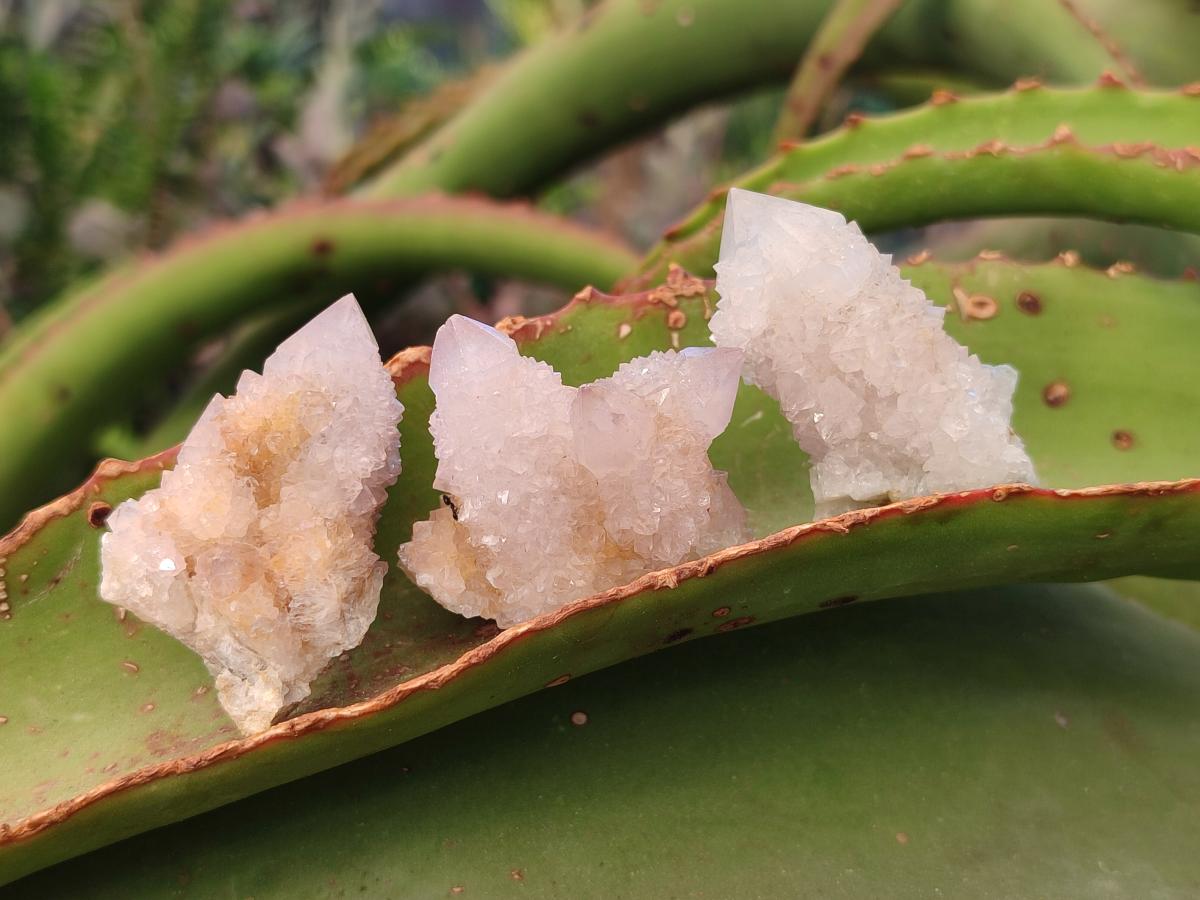 Natural Small Spirit Quartz Crystals x 70 From Boekenhouthoek, South Africa - Toprock Gemstones and Minerals 
