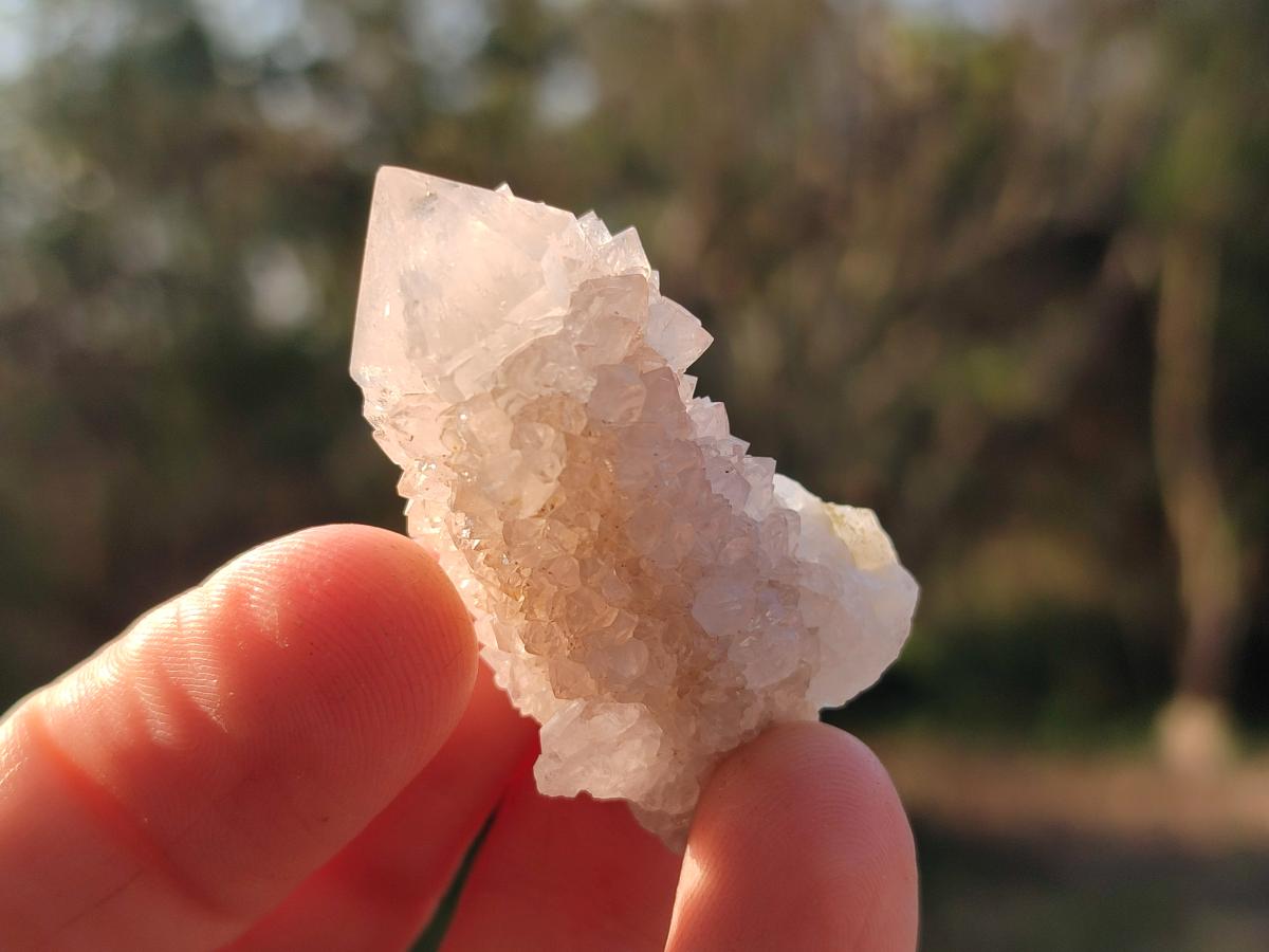 Natural Small Spirit Quartz Crystals x 70 From Boekenhouthoek, South Africa - Toprock Gemstones and Minerals 