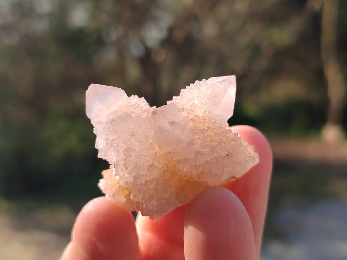 Natural Small Spirit Quartz Crystals x 70 From Boekenhouthoek, South Africa - Toprock Gemstones and Minerals 