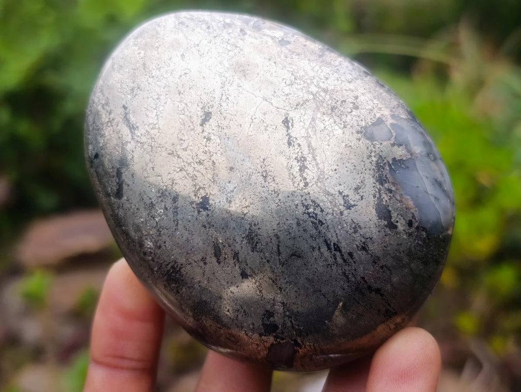 Polished Basalt Pharaoh Stone Galets x 3 From Iron Duke Mine, Zimbabwe - Toprock Gemstones and Minerals 