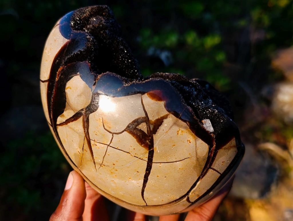 Polished Large Septerye Sauvage "Dragons Egg" Geode x 1 From Mahajanga, Madagascar - Toprock Gemstones and Minerals 