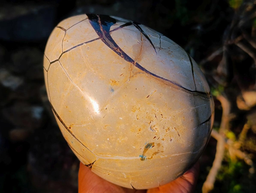 Polished Large Septerye Sauvage "Dragons Egg" Geode x 1 From Mahajanga, Madagascar - Toprock Gemstones and Minerals 