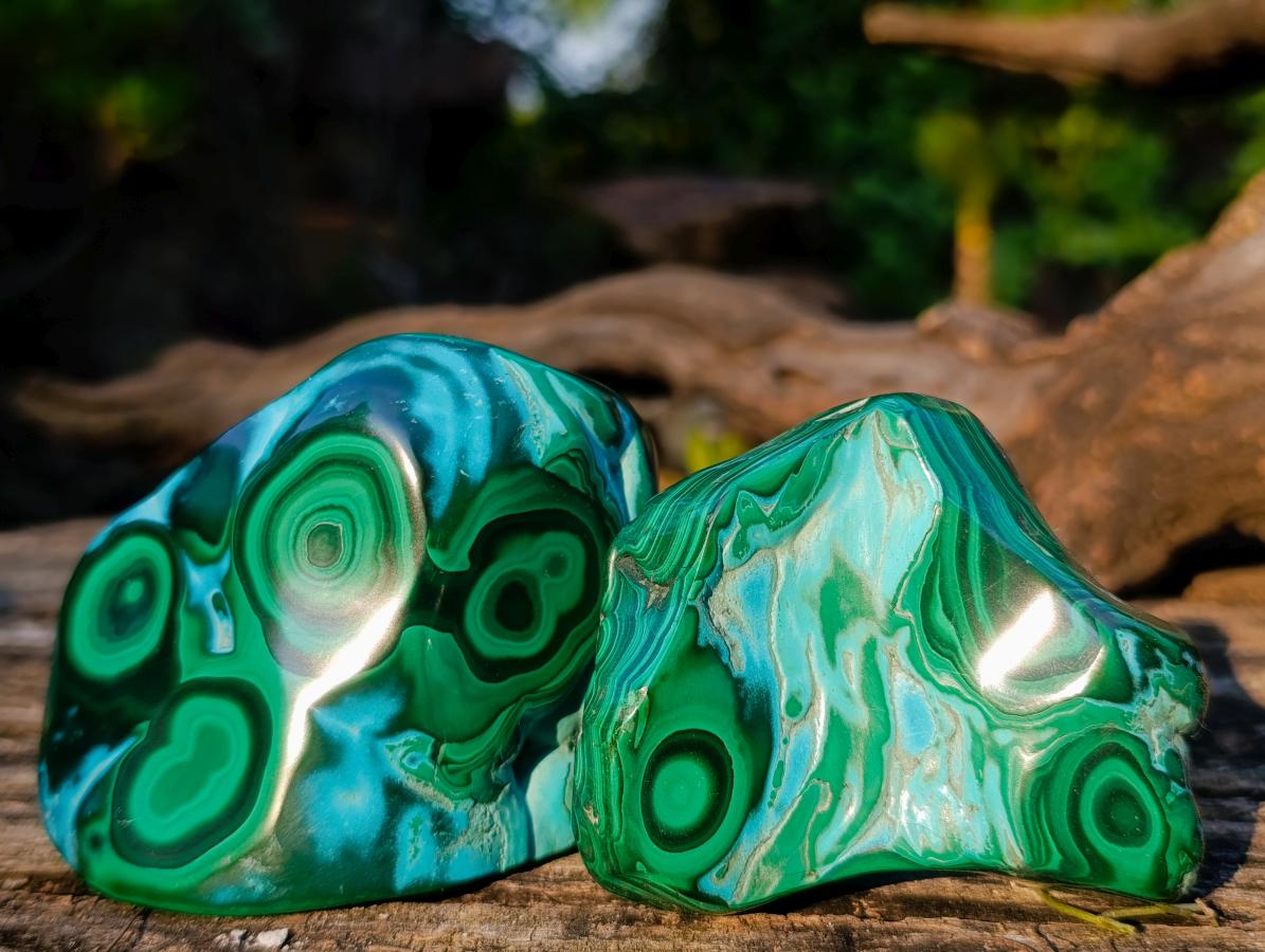 Polished Malacolla Free Forms x 6 From Kulukuluku, Congo - Toprock Gemstones and Minerals 