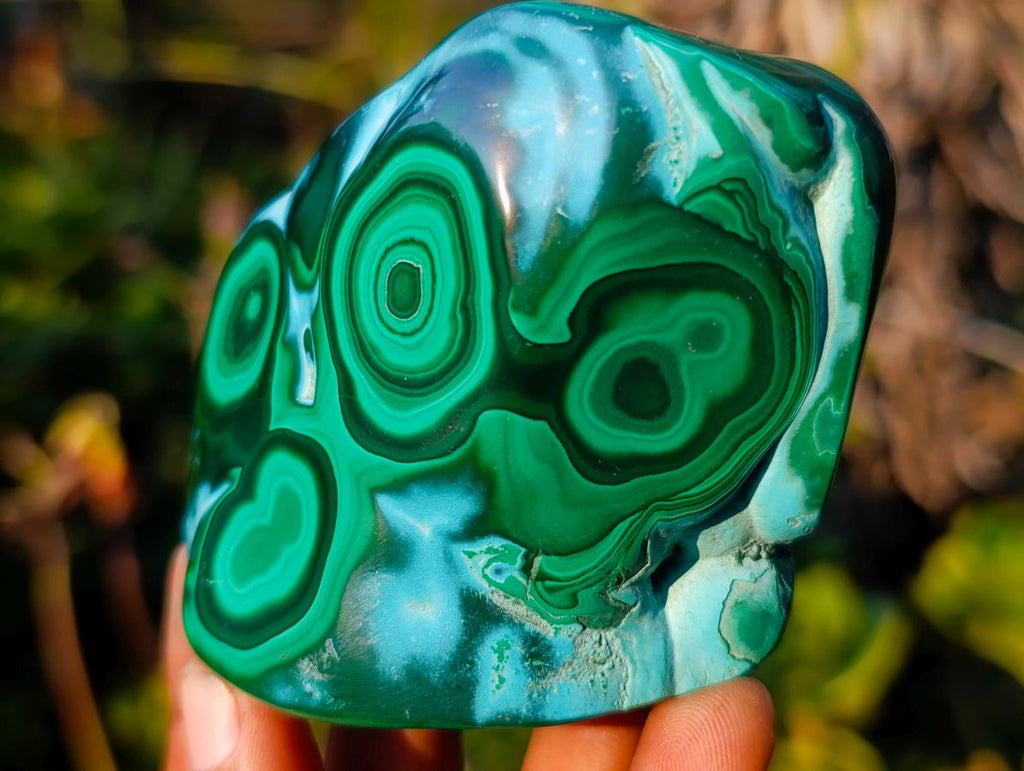 Polished Malacolla Free Forms x 6 From Kulukuluku, Congo - Toprock Gemstones and Minerals 