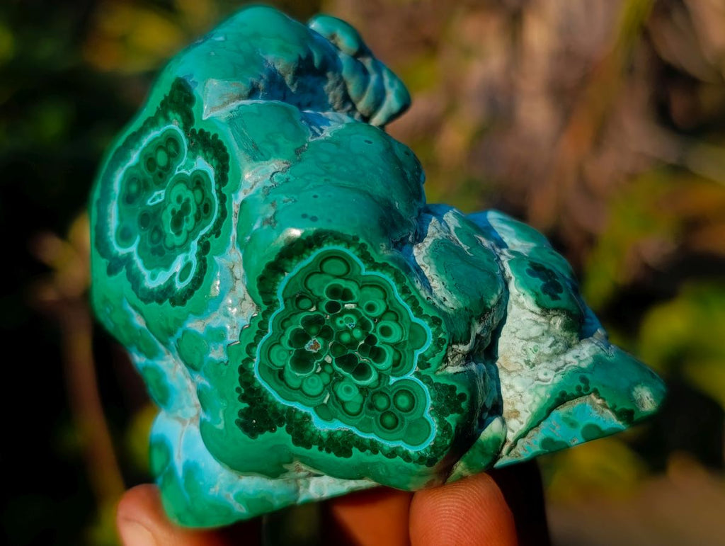 Polished Malacolla Free Forms x 6 From Kulukuluku, Congo - Toprock Gemstones and Minerals 