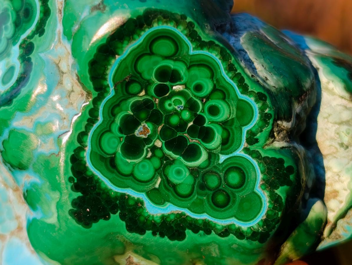 Polished Malacolla Free Forms x 6 From Kulukuluku, Congo - Toprock Gemstones and Minerals 