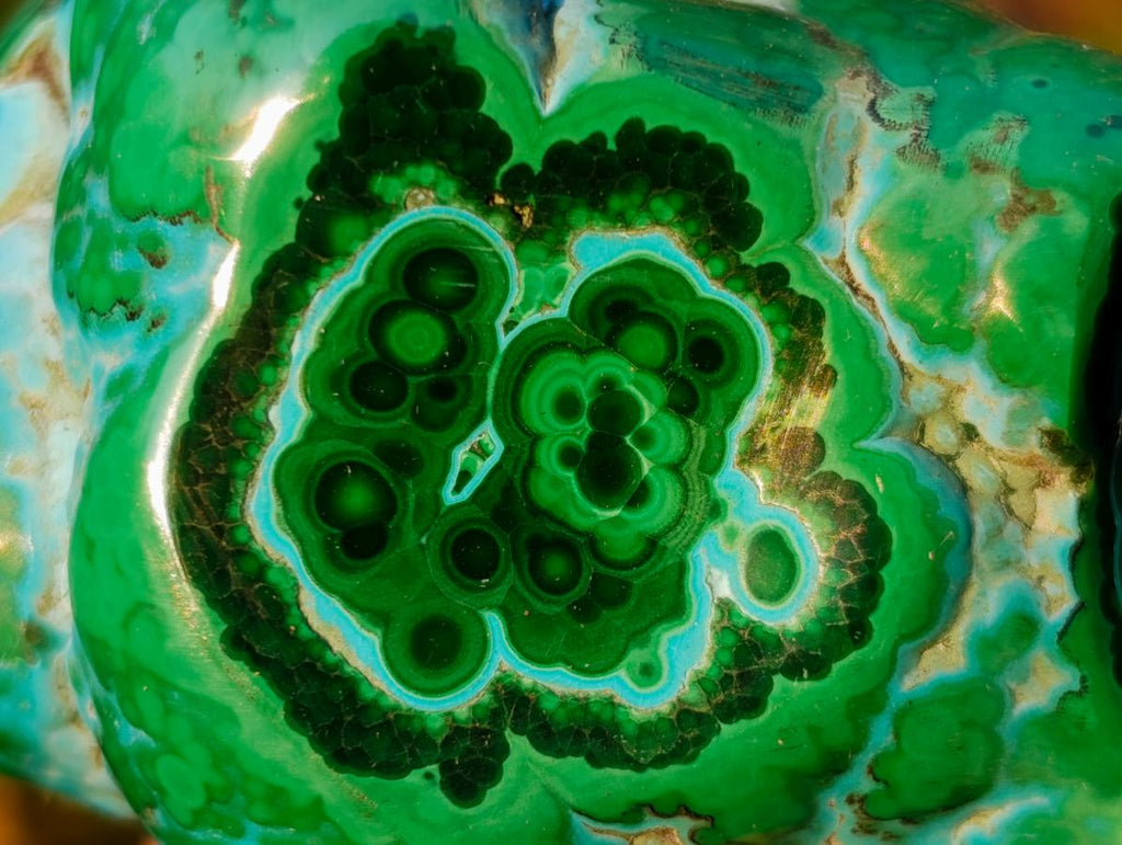 Polished Malacolla Free Forms x 6 From Kulukuluku, Congo - Toprock Gemstones and Minerals 