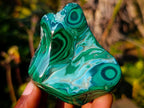 Polished Malacolla Free Forms x 6 From Kulukuluku, Congo - Toprock Gemstones and Minerals 