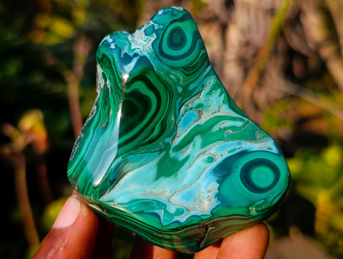 Polished Malacolla Free Forms x 6 From Kulukuluku, Congo - Toprock Gemstones and Minerals 