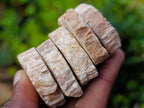 Polished Mini Red Podocarpus Petrified Wood Slices x 35 From Marovoay, Madagascar - Toprock Gemstones and Minerals 