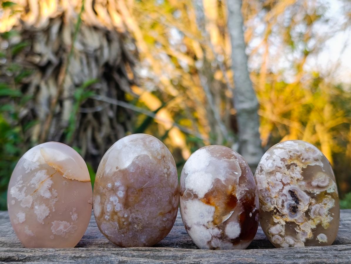 Polished Flower Agate Palm Stones x 24 From Antsahalova, Madagascar - Toprock Gemstones and Minerals 
