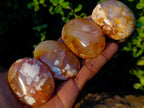 Polished Flower Agate Palm Stones x 24 From Antsahalova, Madagascar - Toprock Gemstones and Minerals 