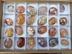 Polished Flower Agate Palm Stones x 24 From Antsahalova, Madagascar - Toprock Gemstones and Minerals 