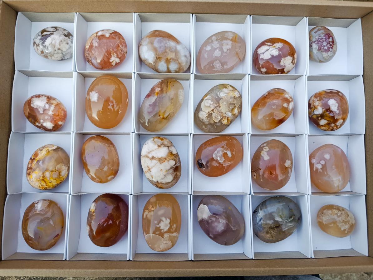 Polished Flower Agate Palm Stones x 24 From Antsahalova, Madagascar - Toprock Gemstones and Minerals 