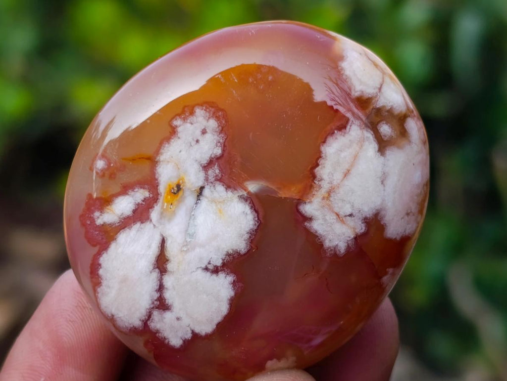 Polished Flower Agate Palm Stones x 24 From Antsahalova, Madagascar - Toprock Gemstones and Minerals 