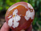 Polished Flower Agate Palm Stones x 24 From Antsahalova, Madagascar - Toprock Gemstones and Minerals 