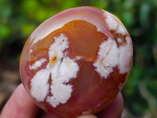 Polished Flower Agate Palm Stones x 24 From Antsahalova, Madagascar - Toprock Gemstones and Minerals 