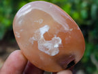 Polished Flower Agate Palm Stones x 24 From Antsahalova, Madagascar - Toprock Gemstones and Minerals 
