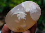 Polished Flower Agate Palm Stones x 24 From Antsahalova, Madagascar - Toprock Gemstones and Minerals 
