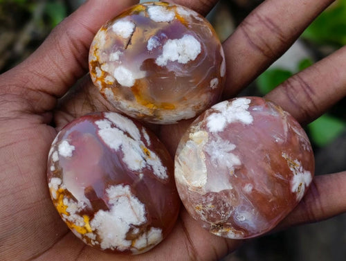 Polished Flower Agate Palm Stones x 24 From Antsahalova, Madagascar - Toprock Gemstones and Minerals 