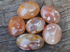 Polished Flower Agate Palm Stones x 24 From Antsahalova, Madagascar - Toprock Gemstones and Minerals 