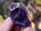 Polished Small Dark Purple Amethyst Crystals x 35 From Akansobe, Madagascar - Toprock Gemstones and Minerals 