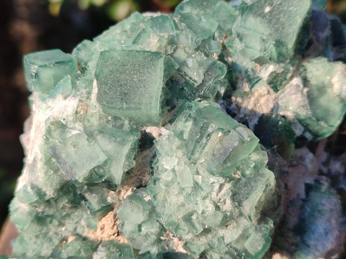 Natural Large Green Cubic Fluorite Specimen x 1 From Mandrosonoro, Madagascar - Toprock Gemstones and Minerals 