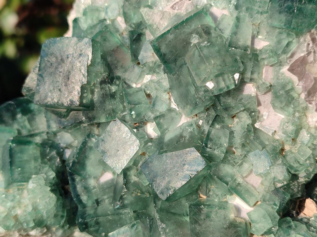 Natural Large Green Cubic Fluorite Specimen x 1 From Mandrosonoro, Madagascar - Toprock Gemstones and Minerals 