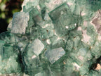Natural Large Green Cubic Fluorite Specimen x 1 From Mandrosonoro, Madagascar - Toprock Gemstones and Minerals 