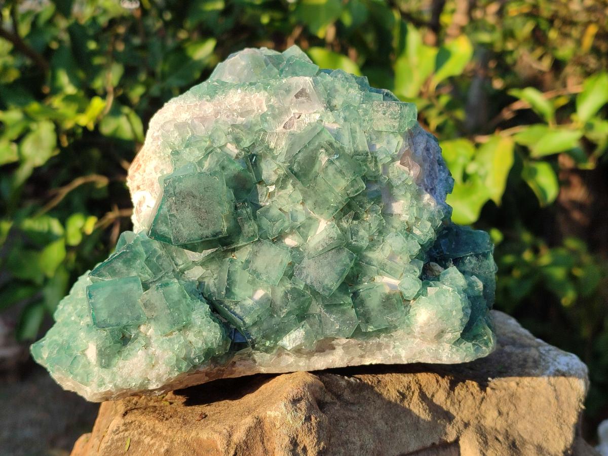 Natural Large Green Cubic Fluorite Specimen x 1 From Mandrosonoro, Madagascar - Toprock Gemstones and Minerals 
