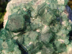 Natural Large Green Cubic Fluorite Specimen x 1 From Mandrosonoro, Madagascar - Toprock Gemstones and Minerals 