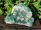 Natural Large Green Cubic Fluorite Specimen x 1 From Mandrosonoro, Madagascar - Toprock Gemstones and Minerals 