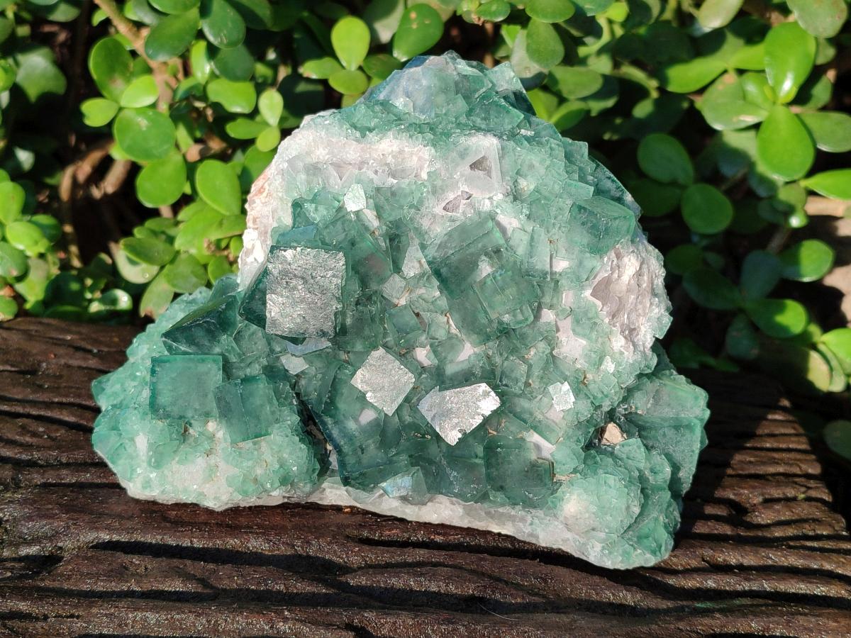 Natural Large Green Cubic Fluorite Specimen x 1 From Mandrosonoro, Madagascar - Toprock Gemstones and Minerals 
